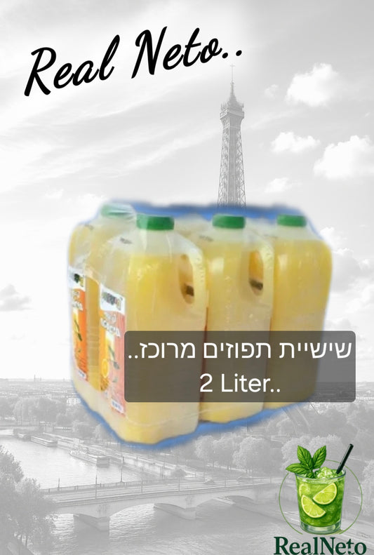 6 Concentrated oranges / برتقال مركز